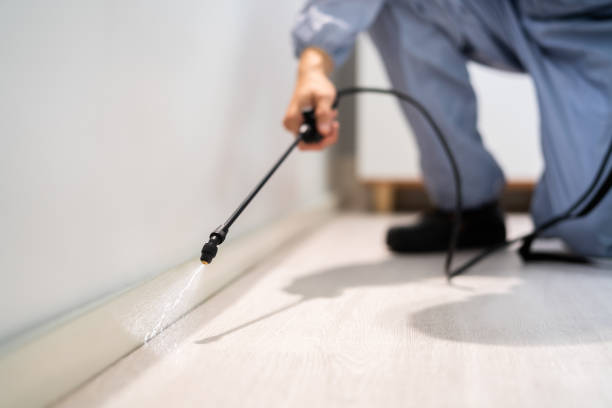 Certified termite inspector examining foundation in Roselle